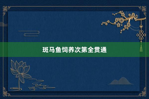 斑马鱼饲养次第全贯通