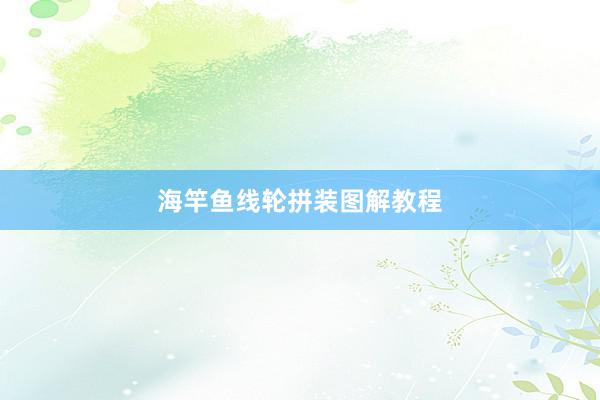 海竿鱼线轮拼装图解教程