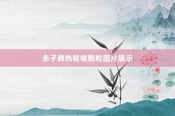 赤子肺热咳喘颗粒图片展示